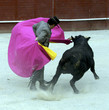 cd_toros-17