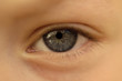 eye