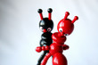 fourmis duo