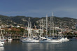 madeira, funchal, harbor madeira, funchal, harbor