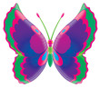 butterfly