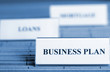 business plan (blau) business plan (blau)