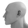 progrades head progrades head