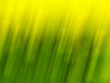 Detalii fotografie abstract primăvară fundal