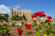 cathedral and roses
