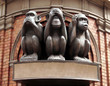 three monkeys