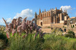 cathedral