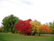 fall in canada fall in canada