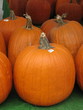 pumpkins pumpkins