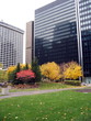 fall in the city fall in the city
