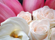 blumenarragement