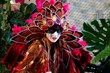 personnage de carnaval masqué