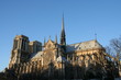 notre dame en couleur! notre dame en couleur!
