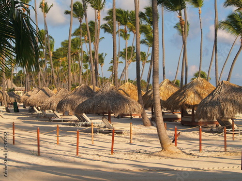 Photo: tropical resort tropical resort