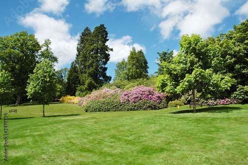 Photo: trees and lawn on a bright summer day trees and lawn on a bright summer day