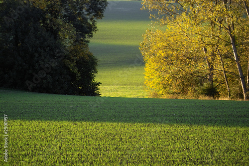landscape of country