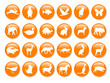 orange bright icons with animal silhouettes