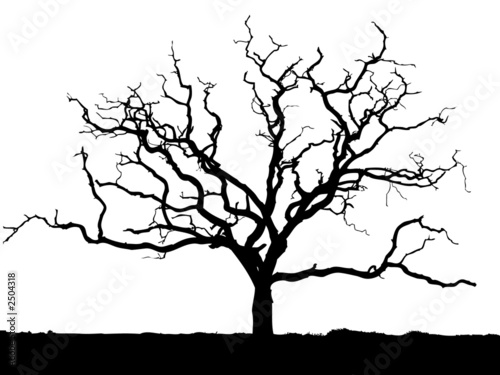 Illustration: arbre détouré arbre détouré