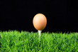osterei auf einem golf tee
