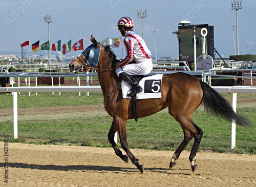 Photo: avant la course avant la course