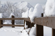 frozen fence