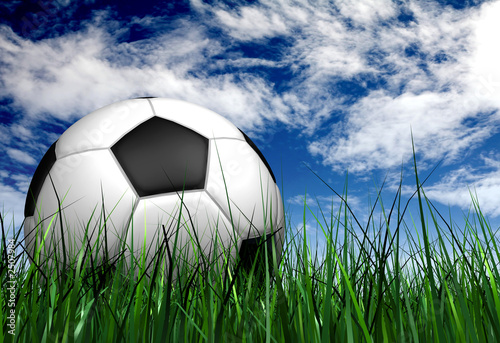 Photo: football or soccer ball on the grass football or soccer ball on the grass