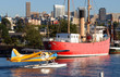 float plane