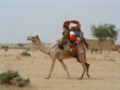 afrique