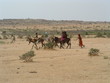 afrique
