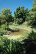 lake in the park