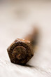 rusty bolt
