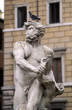 le pigeon sur la tête du triton