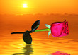 rose reflected in water gold rose reflected in water gold