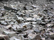 stones