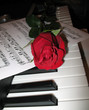 rose piano music collage