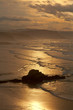 the golden sunrise