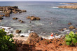 great snorkeling, coral reef