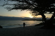 sunset, carmel