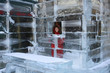 pretty woman in a ice hotel