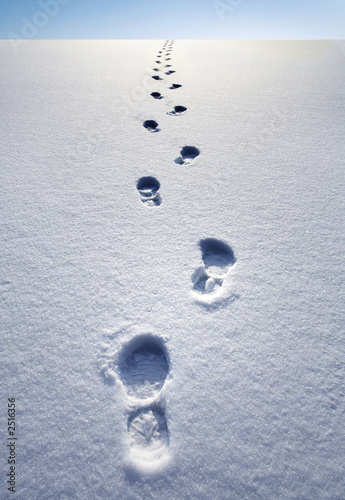 Photo: winter path winter path