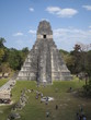 tikal au guatemala tikal au guatemala