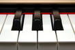 frontal closeup of piano keys