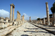 jerash jerash