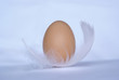 egg egg