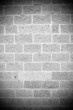 blue and pink brick background