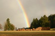 regenbogen hinter wald regenbogen hinter wald