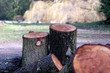 wood logs