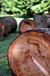 logs