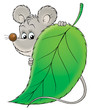 mouse