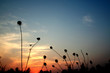 sun set